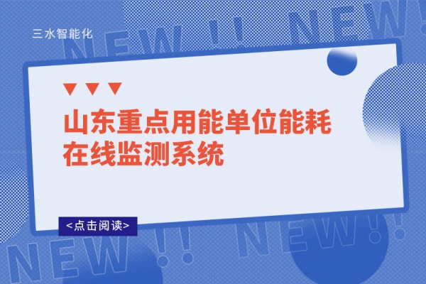 山東重點用能單位能耗在線監測系統
